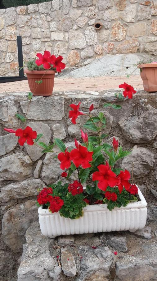 Appartamento In Collina Fondi Extérieur photo