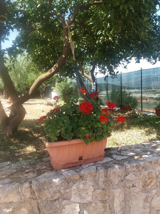 Appartamento In Collina Fondi Extérieur photo